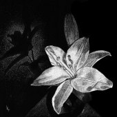 Lynn Kibbe - “Still Life Floral” – http://www.lynnkibbefineart.weebly.com/