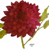 Veronica Russo - “Lady Astor” – vrusso125@gmail.com