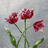 Cynthia Tabeau Pritchard - “Crimson Semper Augustus” – https://cynthiaabstractart.com/