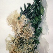 Deb Covington - “Drying Hydrangias” – bobdeb@twc.com