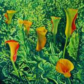 Merrilyn Duzy - “Callas from My Garden” – http://www.merrilynduzy.com/