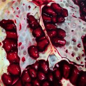 Merrilyn Duzy - “Pomegranate” – http://www.merrilynduzy.com/