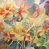 Gaye Boltong - “Nasturtiums” – gayeboltong@gmail.com