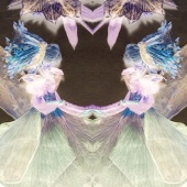 Julie L Lloyd - “Together” – julielloyjl@aol.com