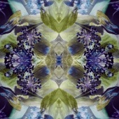 Julie L Lloyd - “Kaleidoscope of Flowers” – julielloyjl@aol.com