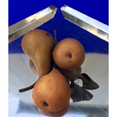 Suzanne Neal - “Still Life with Pears” – suzannelneal@gmail.com