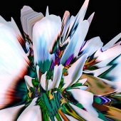 Gabriele Gracine - “Pacifica” – http://abstractgaby.mystrikingly.com/