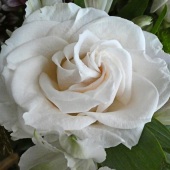 Marcia Berg Haskell - “Gift from the Teacher” – http://www.marciascreativeworld.com/