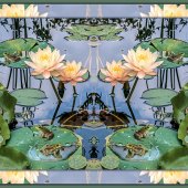 Dick and Rosanne - “Pond Reflections” – http://www.dickandrosanne.com/