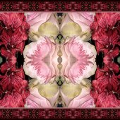 Dick and Rosanne - “Roses and Astromeria” – http://www.dickandrosanne.com/