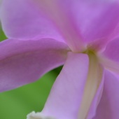 Ronald Story - “Purple Embrace” – http://ronaldstoryart.com/