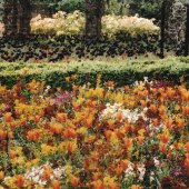 Michael J Duke - “In it for the Monet” – http://www.mjduke.co.uk/