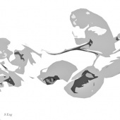 Sharon Eng - “Orchid Black and White Abstract” – http://www.sharon-eng.pixels.com/