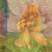 Susan R. Kirshenbaum - “Botanical Series: Memory of the Garden” – http://www.cherrypits.net/