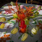 Anthony Iacuzzi - “Tulip Arrangement” – http://www.iacuzziart.zenfolio.com/