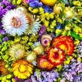 Deborah Loeb Bohren - “Fresh Cut #1” – http://www.dlbohren.zenfolio.com