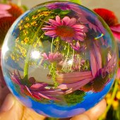 Stephen D. Smith - “Garden Flowers Refracted through a Crystal Ball” – http://stephendsmithphotography.com/