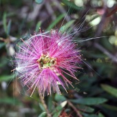 Ana Gadish-Linares - “Hitchhikers” – http://www.artesanastudios.com/Ana Gadish-Linares - “Hitchhikers” – http://www.artesanastudios.com/