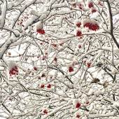 Ana Gadish-Linares - “Snow Berries” – http://www.artesanastudios.com/