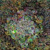 Paris Tremayne - “Squidly Seabean” – http://www.paristremayne.com/