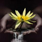 2nd Place – James Hurley - “Nurture Nature” – www.mycreativeimages.com