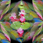 8th Place – Marilyn Samwick - “Water Lillies in the Round” – Homes4ufl@aol.com