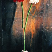 Hon. Mention - Dondi Schwartz - “A Matter of Life and Death” – www.dondipro.co.il