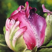 2nd Place – Xin Xu - “Morning Dew” – 13683690409@qq.com