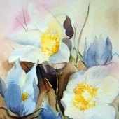 8th Place – Marti White - “Pasque Flowers II” – www.artbymartiwhite.com