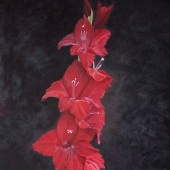 Hon. Mention - Chantal Bourque - “Red Gladiola” – www.chantalabourque.wixsite.com/website