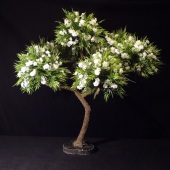 5th Place – Earl Senchuk - “Wedding Gift Table Tree” – www.earlsenchuk.com