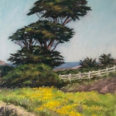 Marina Smelik - “Spring at Pacifica, CA” – http://marinasmelik.com/