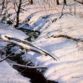 Stephen Edwards - “Shadow Play in an Evening Woods” – http://www.stephen-edwards-artist.com/