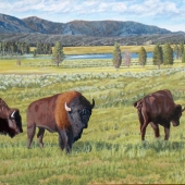 John Jaster - “Postcard from Yellowstone” – http://john.jasterstudio.com/