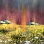 Nuyoufuti Latifeike - “Karyoung after the Rain” – 2522815030@qq.com