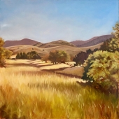 Mitra N Devon - “Open Space - North Ranch” – http://www.mitradevon.com/
