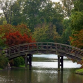 Stephanie Sheppard - “Asian Crossing” – ssdesigns53@hotmail.com