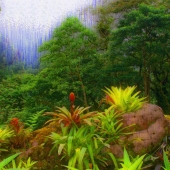 Jean Burnett - “Walk on the Wild Side” – http://www.photographybecomesart.com/