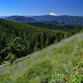 Robert Nowak - “Mt. Hood” – http://www.robertnowakphotography.com/