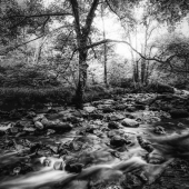 James Hurley - “Beck above Aria Falls” – http://www.mycreativeimages.com/