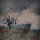 Eleni Gemeni - “The Cliff” – http://www.elenigemeni.com/