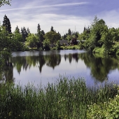 Patricia P Schnepf - “The Quiet Pond” – http://patriciaschnepfphotography.com/