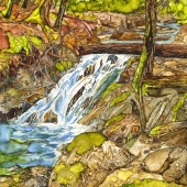 JoAnn Deuel Shelby - “Little Pup Falls” – www.snowqueenstudio