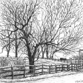 Thomas Stanford - “Winter Landscape #2” – http://thomasstanfordart.com/