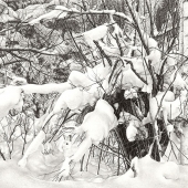 Noah Nolywaika - “Inconspicuous” – http://www.noahnolywaika.com/