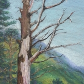 Mengchun Lee - “Isolated” – carolinelee0171@gmail.com