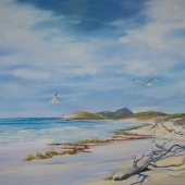 Susan Robinson - “Wild Places” – info@artadvocacy.com.au