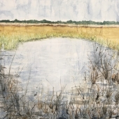 Jenny Bleackley - “Lost in the Everglades II” – http://www.jennybleackley.com/