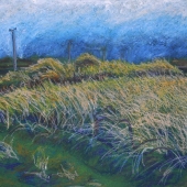 Orla Clancy - “Fenit Dunes, County Kerry” – orla99913@gmail.com