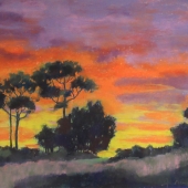 Lynn Morgan - “Backyard Sunrise” – https://lynnmorgangallery.com/